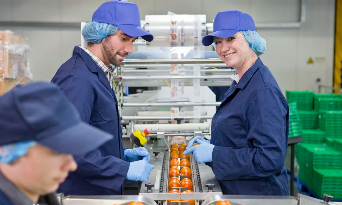 Industrial Ethernet Switches Solutions for Food Processing